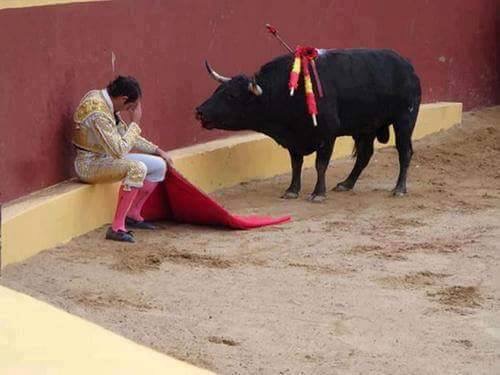 Matador.jpg