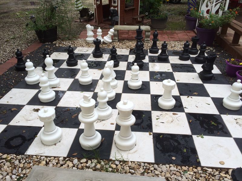 File:Chessboardinnature.jpg